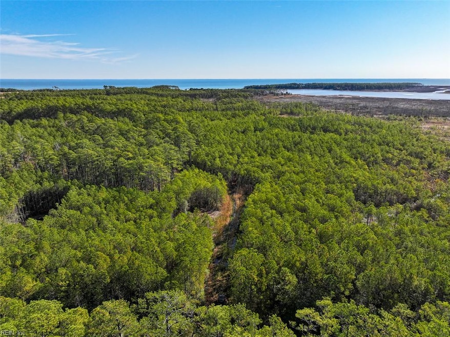 200+AC Buzzard Point Rd, Diggs, VA 23045 - photo 1