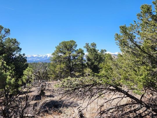 Acreage with mountain views