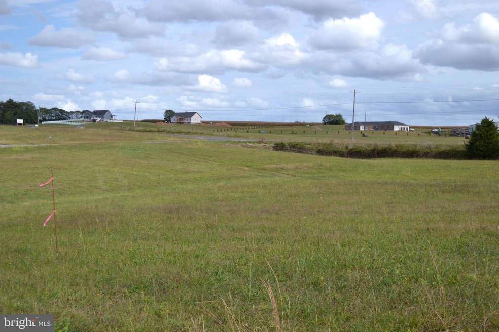 Lot 12B Spring Creek Dr, Cedar Mountain, VA 22701 - photo 1