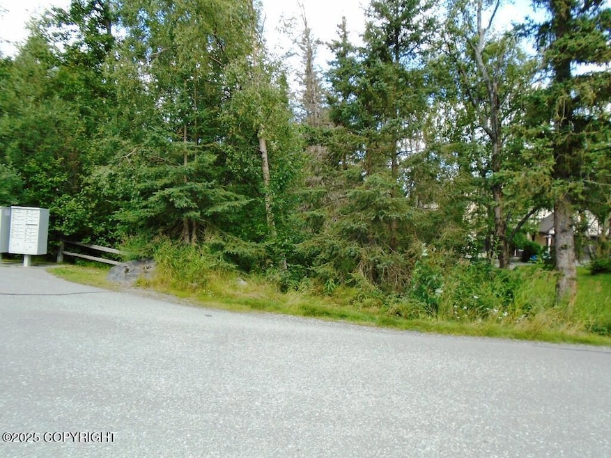 L1 Downey Finch Dr, Anchorage, AK 99516 - photo 1