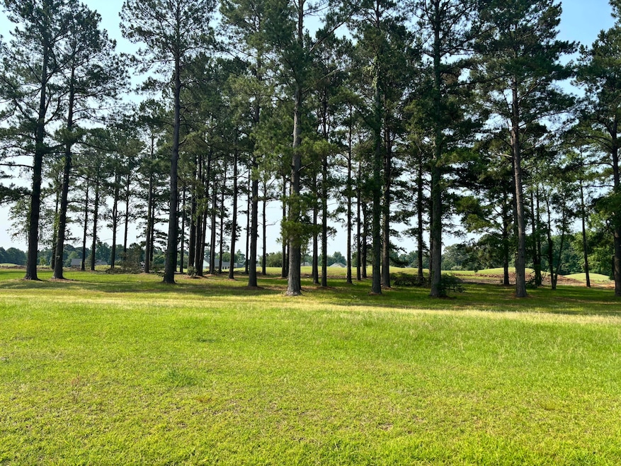 421 Pinelake Ct, Manning, SC 29102 - photo 1