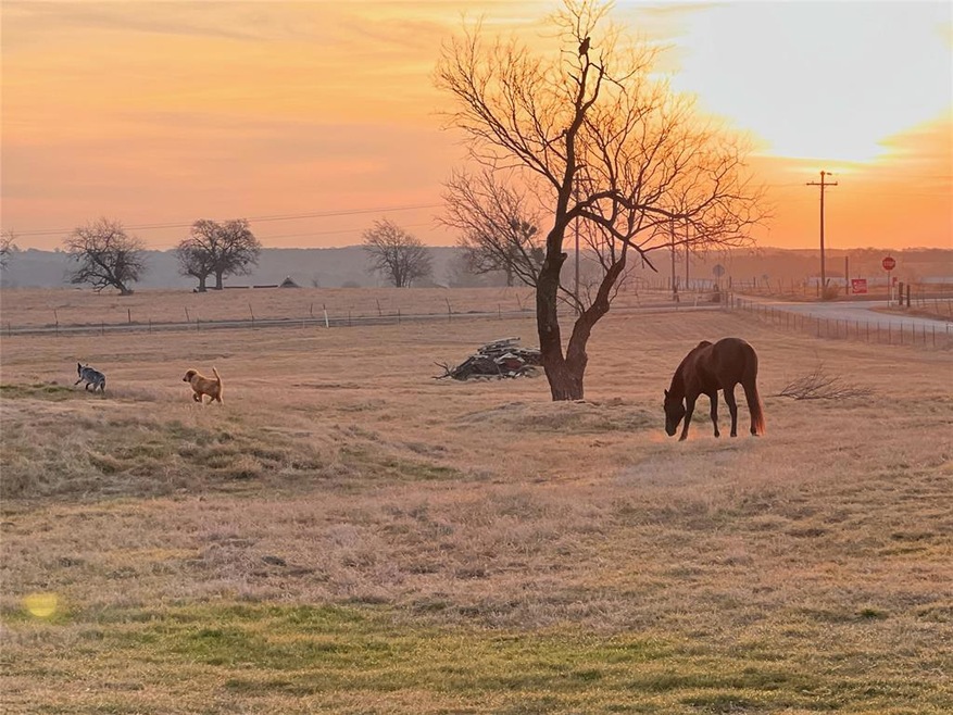 4285 Fm 2071, Gainesville, TX 76240 - photo 1
