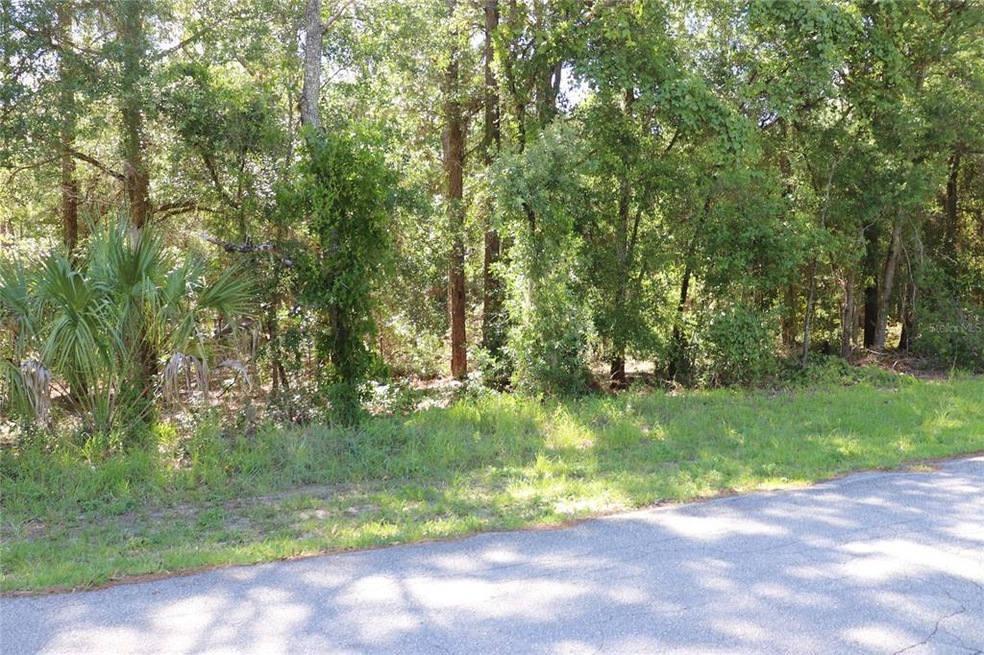 00 SW 205 Cir, Dunnellon, FL 34431 - photo 1