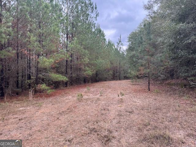 60.06 AC. Daisy Walker Rd, Tennille, GA 31089 - photo 1