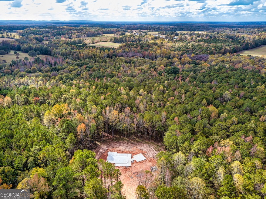 981 Concord Rd, Concord, GA 30206 MLS 10217927