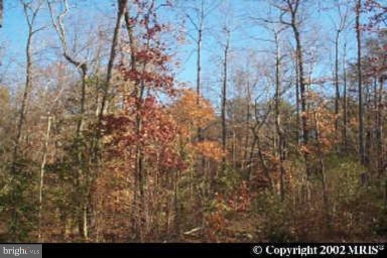 0 Middletown unit 1003211838, Pomfret, MD 20675 - photo 1