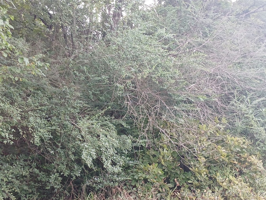 0 Ranch Trail Dr unit 2537758, Eufaula, OK 74432 - photo 1