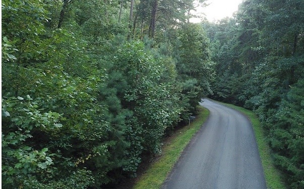 0 Clear Creek Valley Dr unit 308506, Ellijay, GA 30536 - photo 1