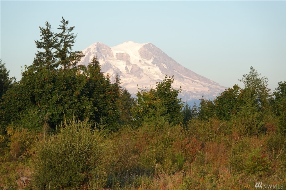 15632 Timber Ridge Ln SE, Yelm, WA 98597 - photo 1