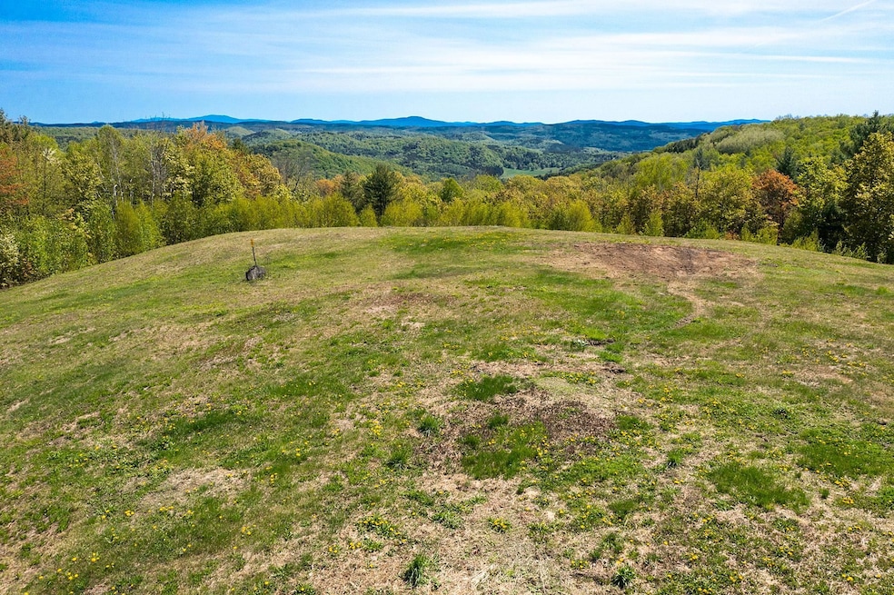 00 Twin Pond Rd, Pomfret, VT 05068 - photo 1