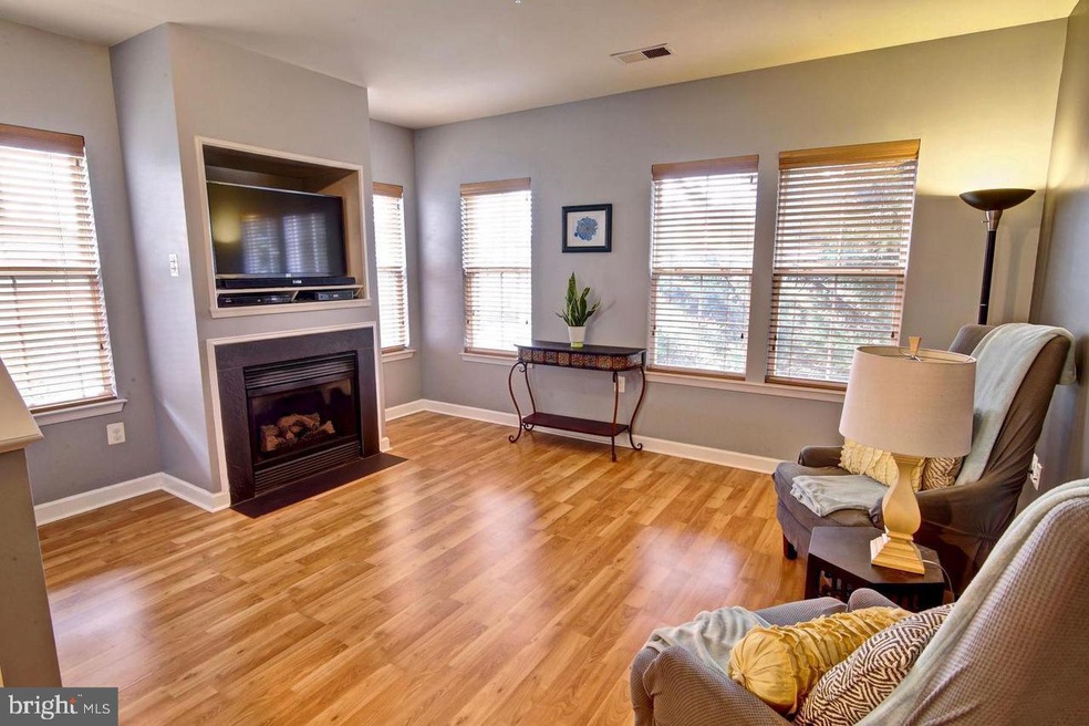 22559 Blue Elder Terrace, Ashburn, VA 20148 - photo 1