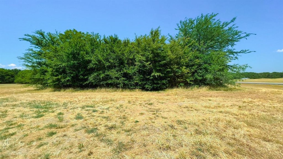 Lot 75 Clubhouse Dr, Corsicana, TX 75109 - photo 1