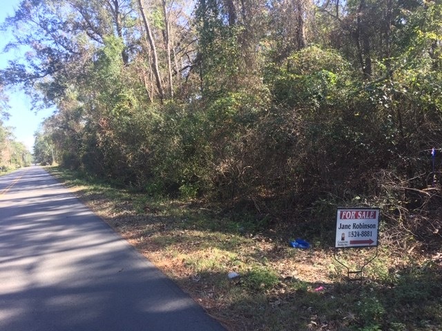 0 Ace High Stable Rd, Crawfordville, FL 32327 - photo 1