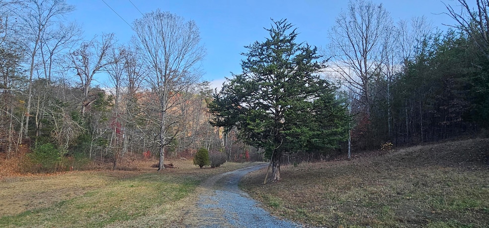 1328 Highway 310, Englewood, TN 37329 - photo 1