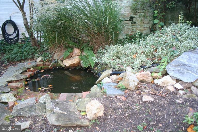 4205 E West Hwy, Chevy Chase, MD 20815 - photo 1