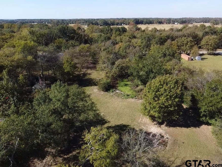 TBD County Road 2940, Alba, TX 75410 - photo 1