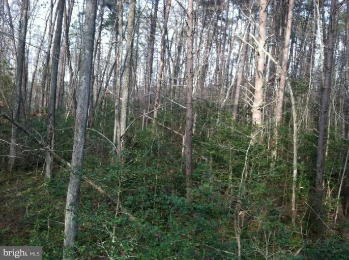 7713 Pohick River Dr, Lorton, VA 22079 - photo 1