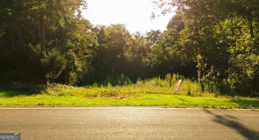 0 Horton Dr SW unit 10568151, Eatonton, GA 31024 - photo 1