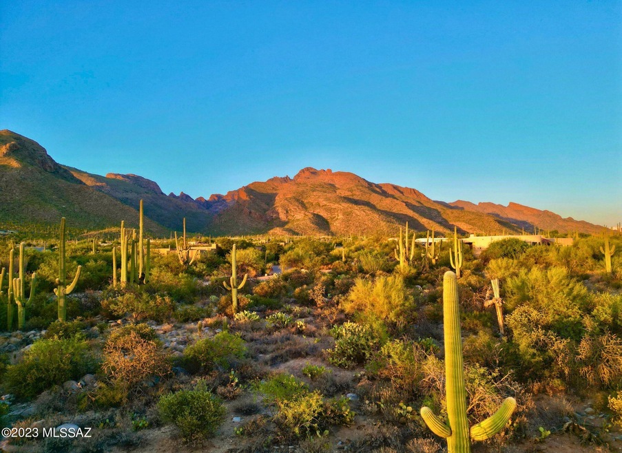 Canyon Spring 1