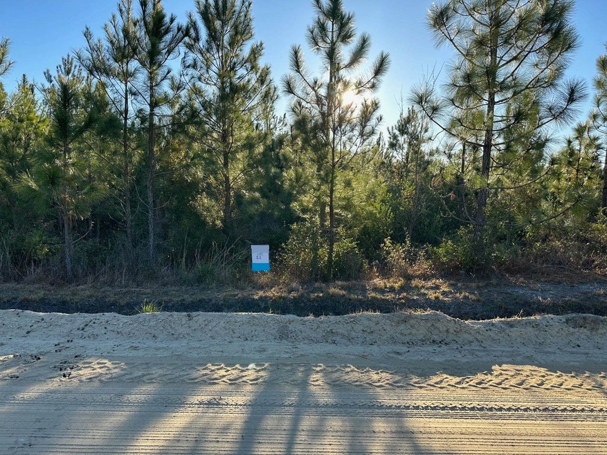 tbd Barts Rd unit LOT E1 and E2, Loris, SC 29569 - photo 1
