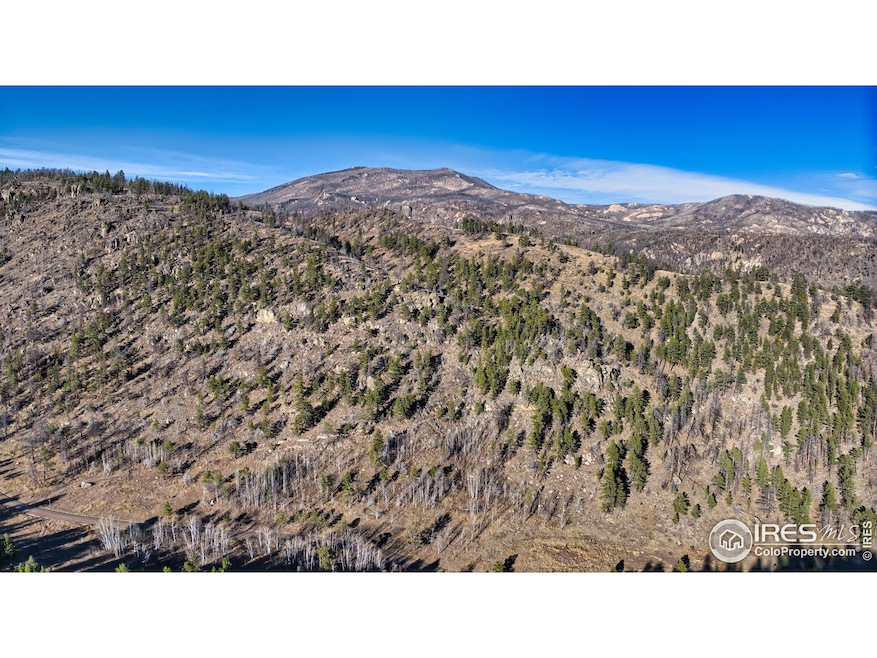 0 Dunraven Glade Rd unit 1047641, Glen Haven, CO 80532 - photo 1