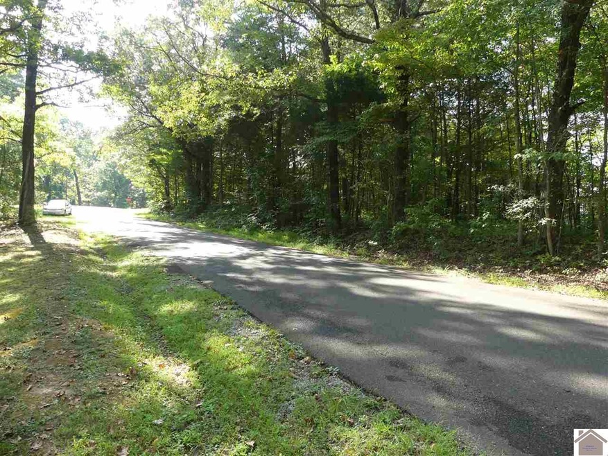 60 Lakeway Dr unit Lots 088-B-0472/047, Murray, KY 42071 - photo 1