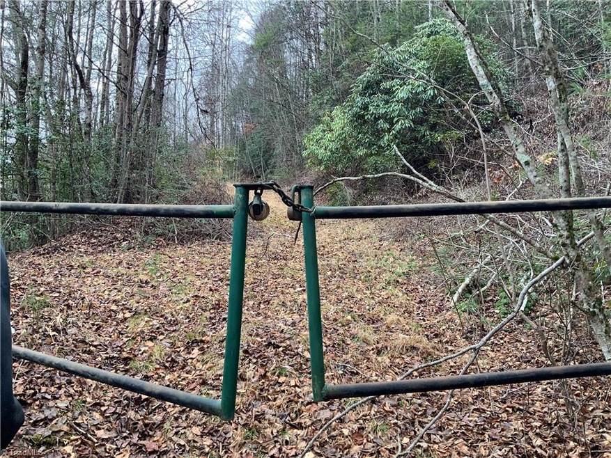 TBD Fall Creek Rd Fall Creek Rd, Purlear, NC 28665 - photo 1