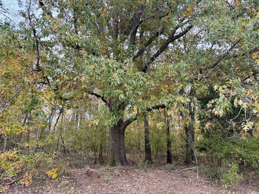 0 Faye Barfield Rd unit LotWP001, Henning, TN 38041 - photo 1