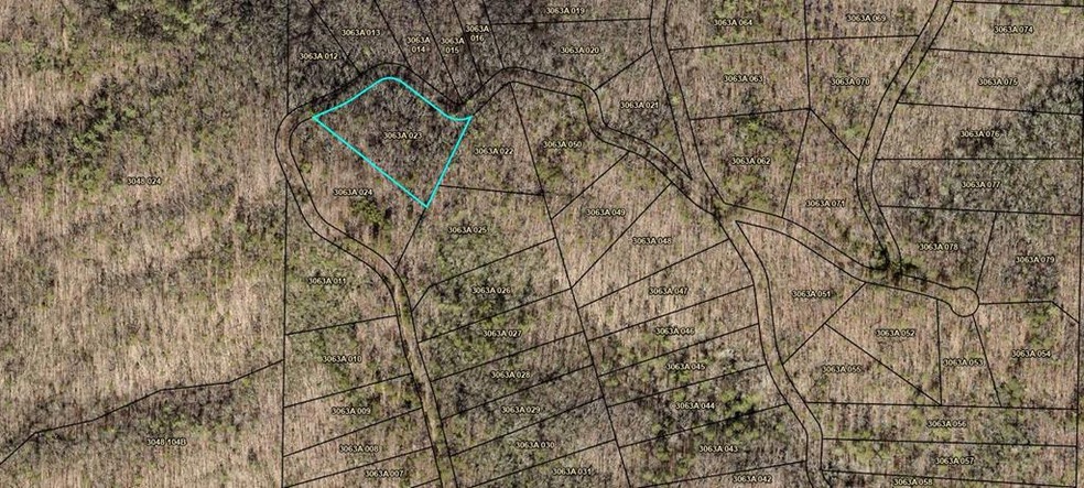 0 Whisenant Mountain Rd unit 411319, Ellijay, GA 30540 - photo 1