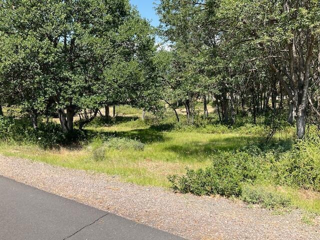 0 Coopers Hawk unit Lot 881 220205807, Klamath Falls, OR 97601 - photo 1
