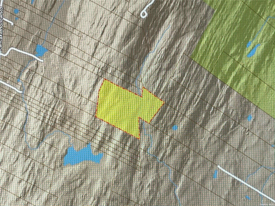 0 Vineyard Ave unit ONE3471761, Highland, NY 12528 - photo 1