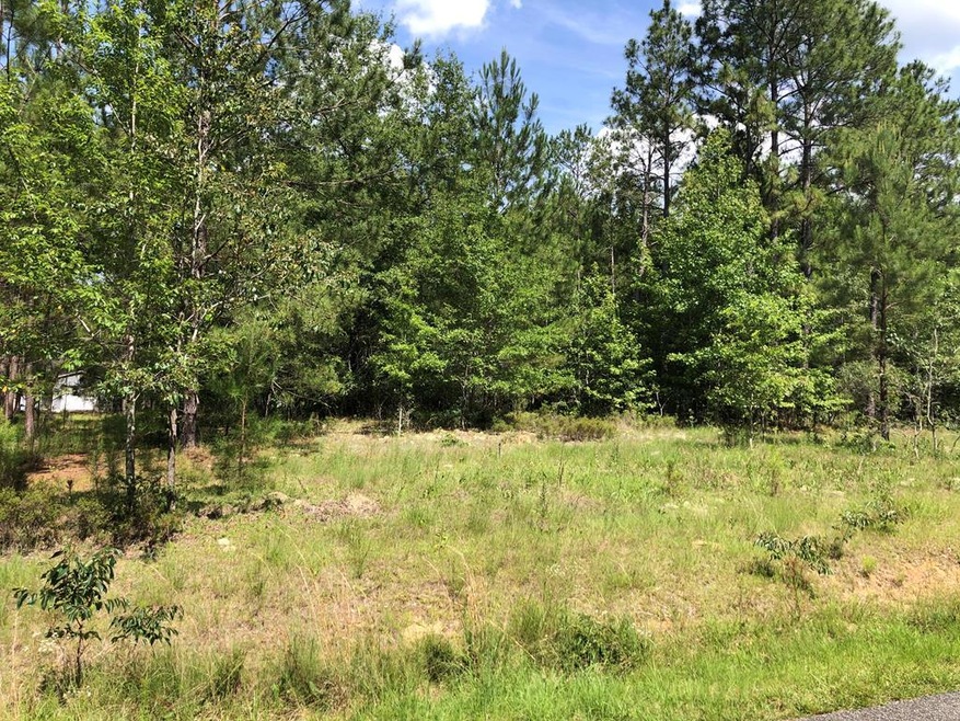 0 Morningside Dr unit 19091, Vidalia, GA 30474 - photo 1