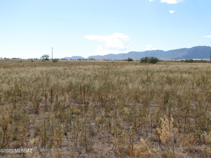 Grassy flat parcel