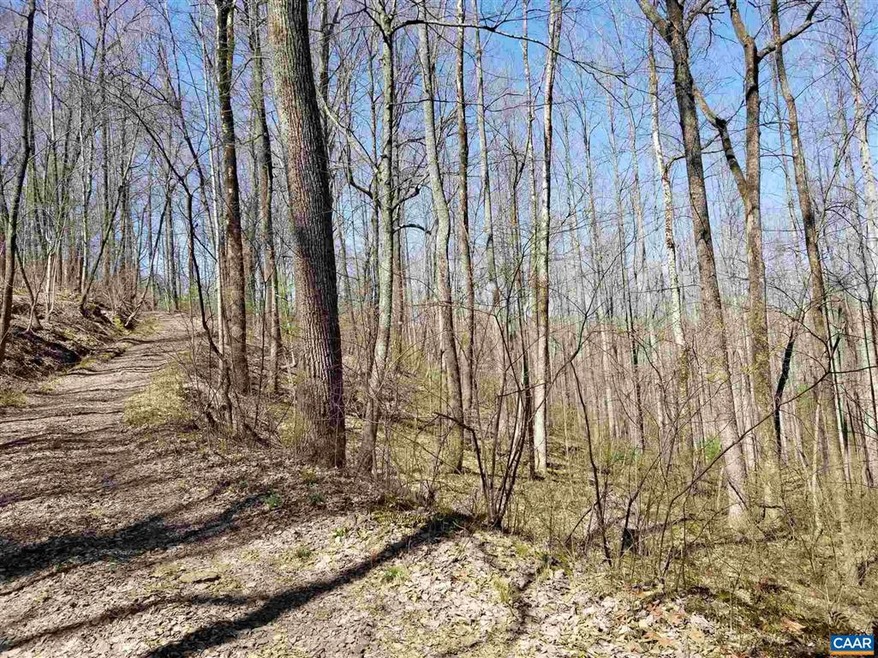 0 High Rd unit 615449, Stanardsville, VA 22973 - photo 1