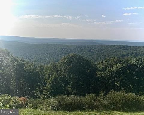 51 Mohican Ct, Hazle Township, PA 18202 - photo 1