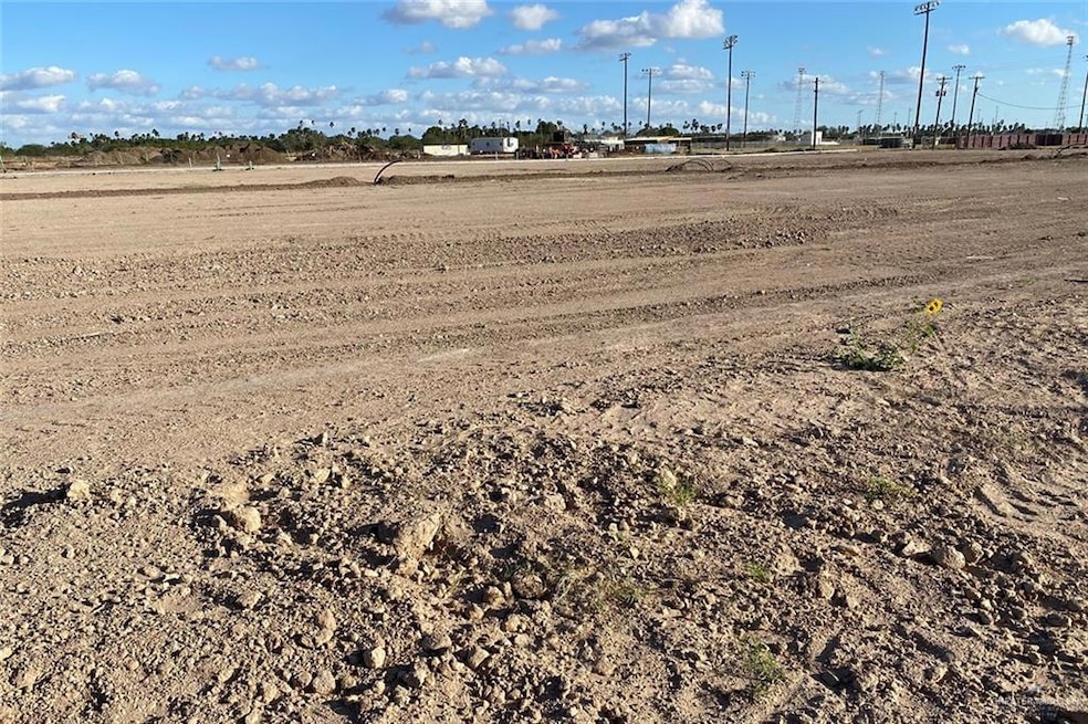 LOT 49 Pine Oak Ave, Donna, TX 78537 - photo 1