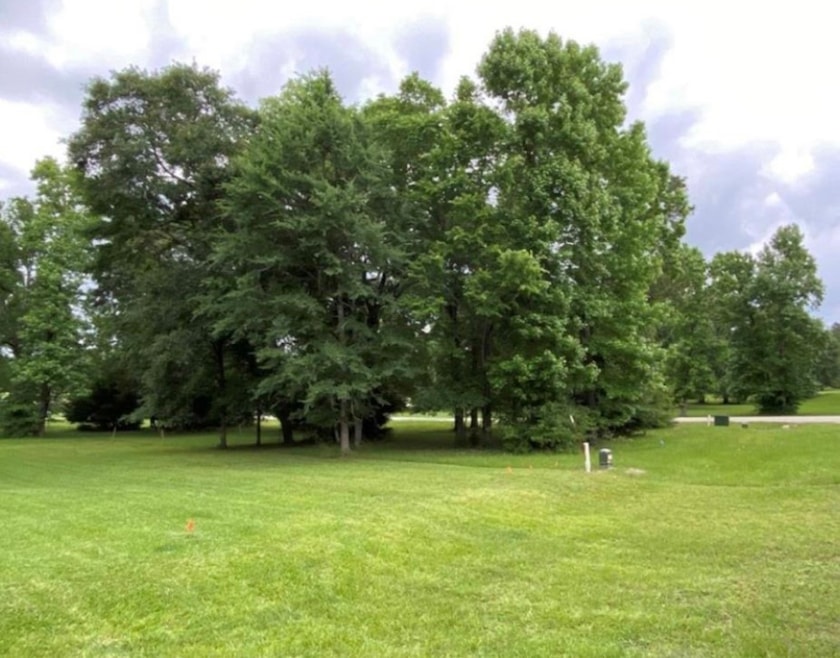 4 Lily Cove, Huntsville, TX 77340 - photo 1