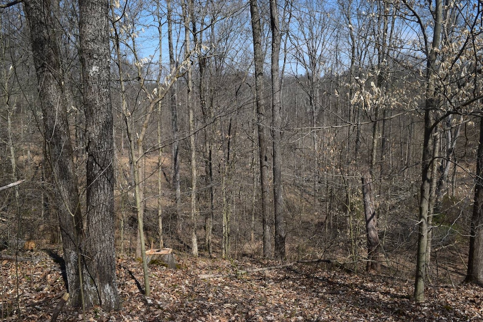 000000 Sawmill Rd, English, IN 47118 - photo 1