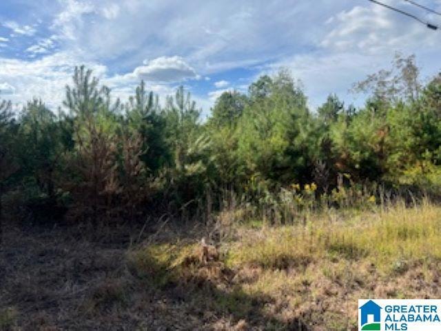 Pending $120,000 • Co-Listing Agent