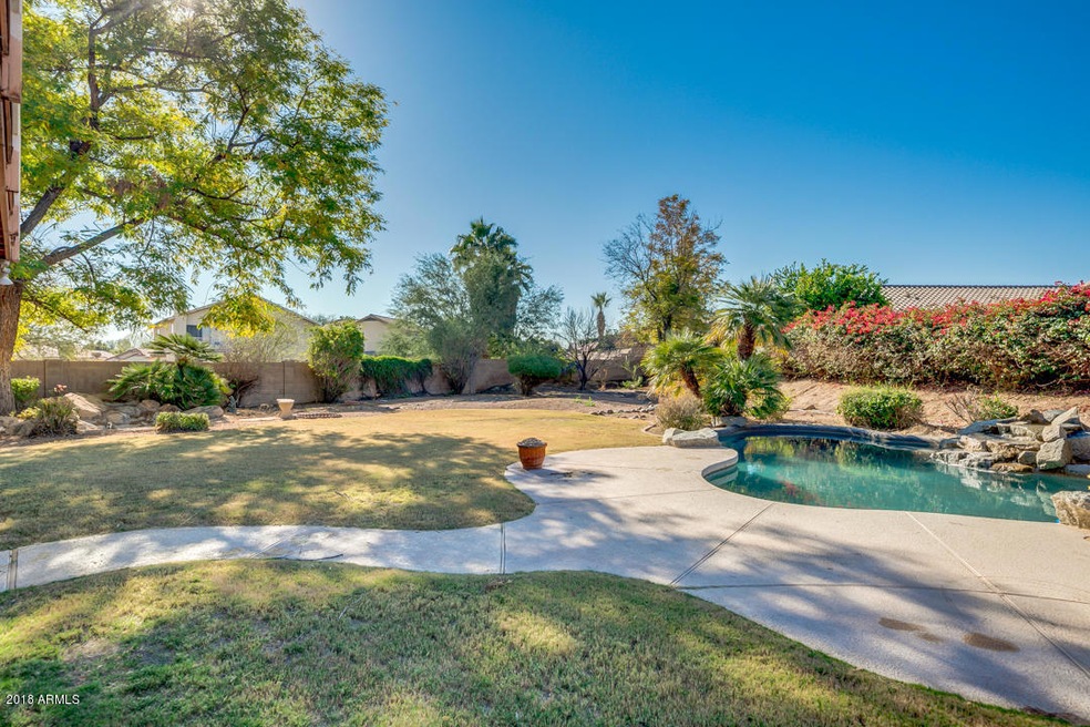 Oversized backyard