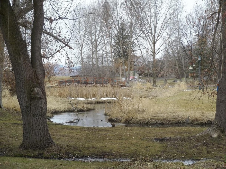 Creek Frontage