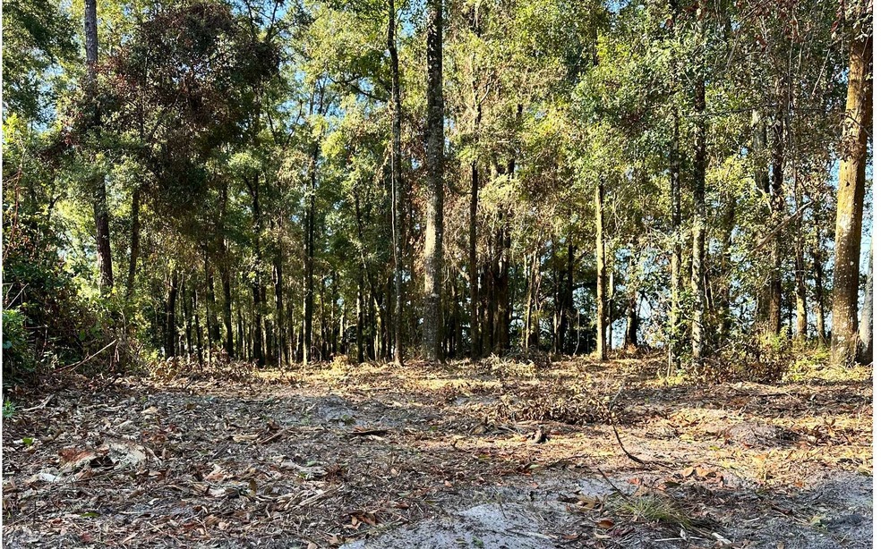 00 282nd Terrace, Branford, FL 32008 - photo 1