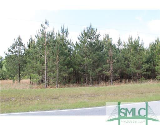 0 Old Tusculum Rd, Springfield, GA 31329 - photo 1