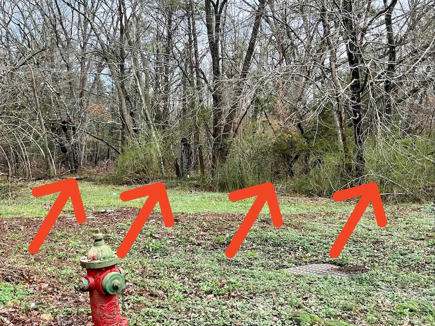 112 Franklin St, Woodbine, NJ 08270 - photo 1