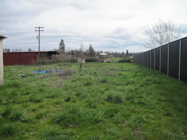 Primary Photo
