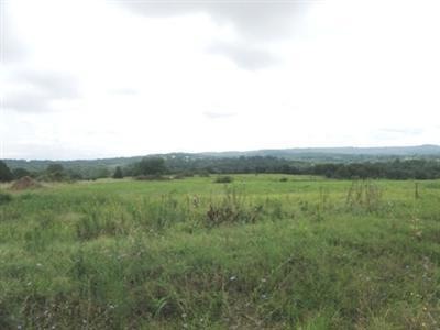 Primary Photo