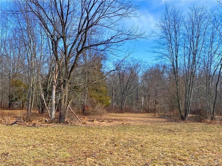 0 Wallkill Ave unit H6238207, Pine Bush, NY 12566 - photo 1