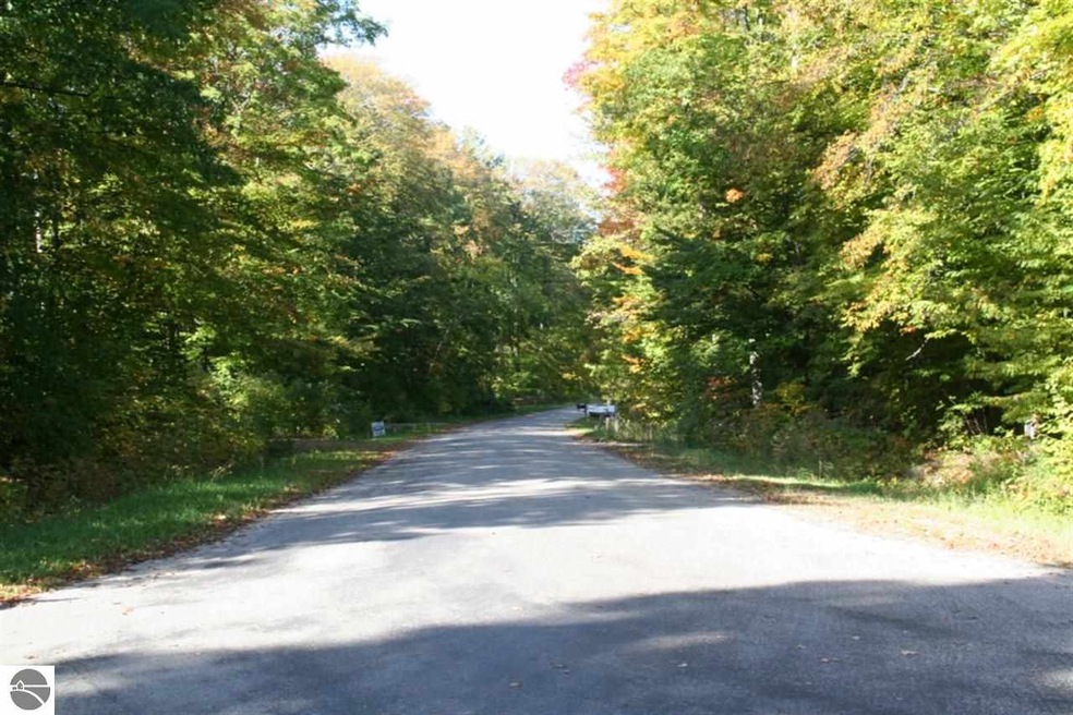 _ E Cherry Ln, Cedar, MI 49621 - photo 1