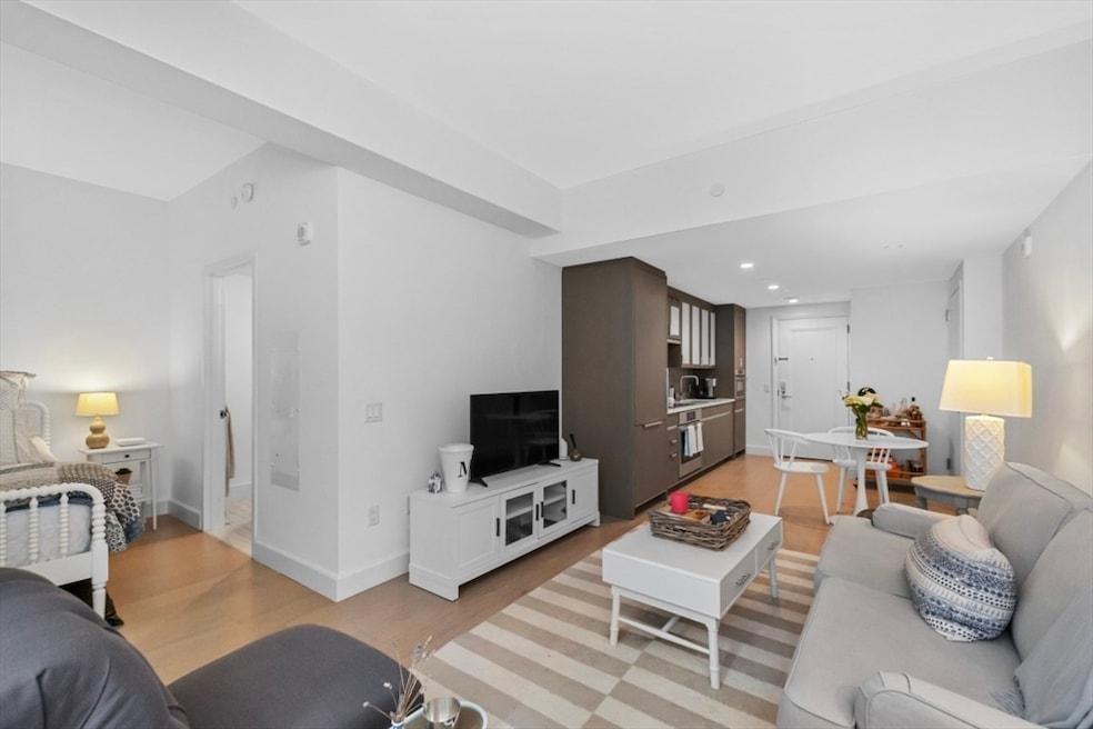 Lovejoy Wharf unit 11Q, Boston, MA 02114 - photo 1
