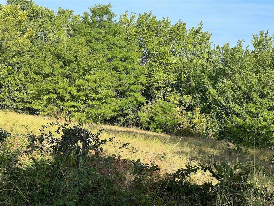 #12 County Road 4690, Boyd, TX 76026 - photo 1